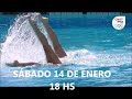 EXHIBICION DE NADO SINCRONIZADO EN LOS COCOS