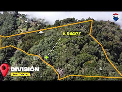 img-video