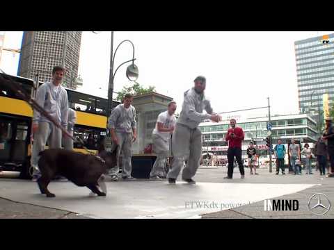 Thomster & STREETBEATZ (FOOTWORKdeluxe) - Pulsschlag einer neuen Generation 01