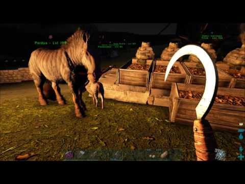 Baby Equus is born omg - ARK Ragnarok