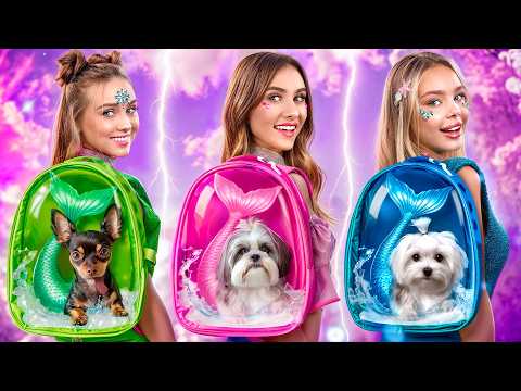 Nous avons trouvé des Chiens Sirènes ! Des Animaux Magiques dans la Vraie Vie