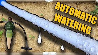 Adding more* BLUMAT BLUSOAK - AUTOMATIC WATERING SYSTEM - For LIVING SOIL - In the GREENHOUSE