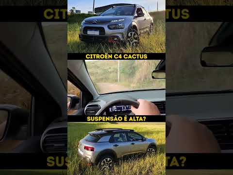 C4 Cactus é alto o suficiente para andar na estrada de terra?