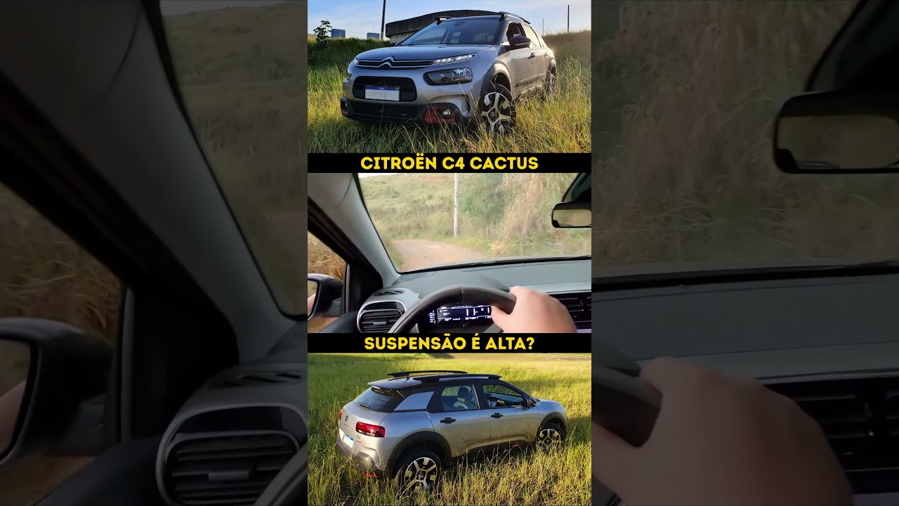 C4 Cactus é alto o suficiente para andar na estrada de terra?