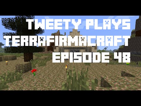 Tweety plays Terrafirmacraft ep 48 - Blacksmith and charcoal