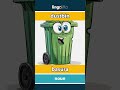 dustbin - basura video thumbnail