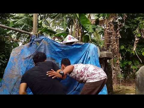 Akibat suka ngintip - bikin ngakak ( film pendek parodi)