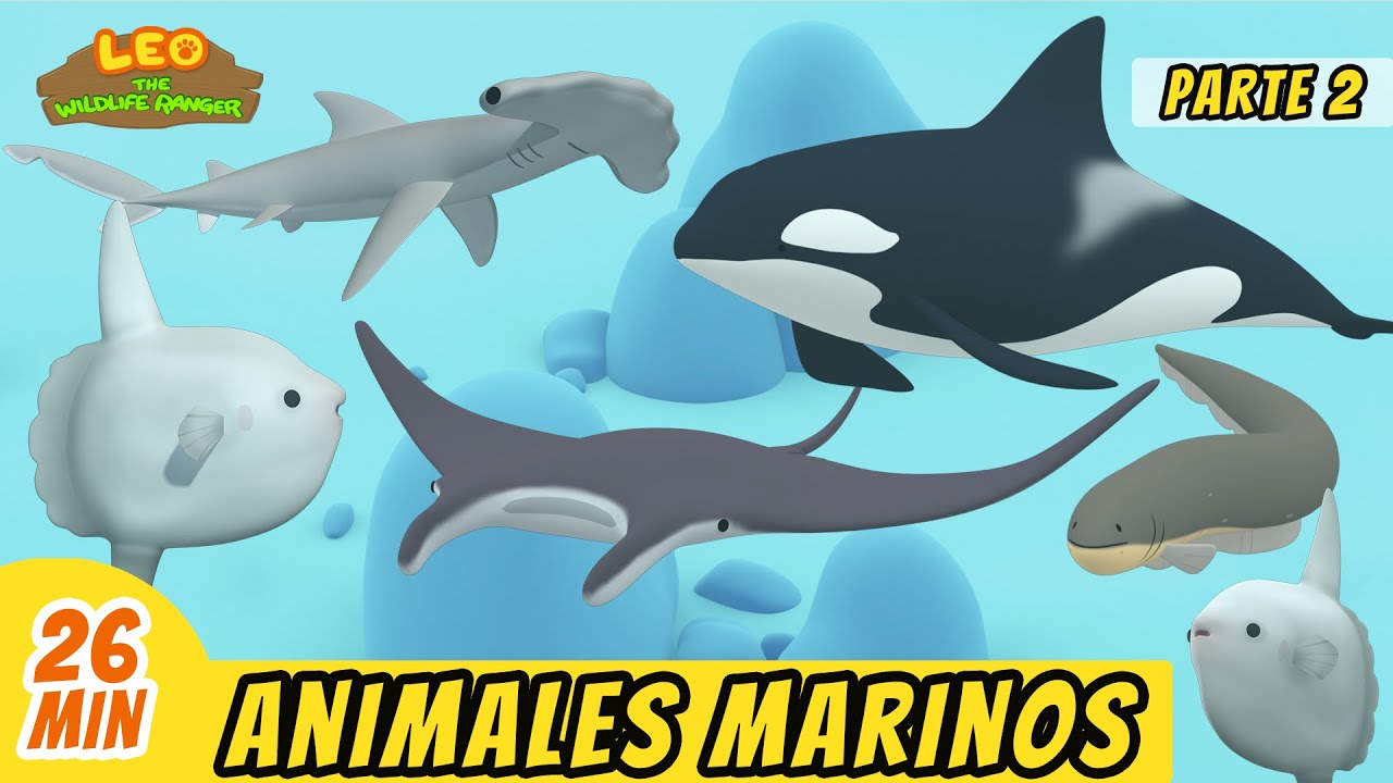 Animales Marinos Episodio Compilación [Parte 2/2] (Español) - Leo, El Explorador | Animación