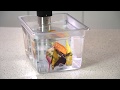 IVide Portable WiFi Cooker - SVT-IVIDE-WIFI Product Video