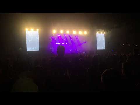 Halott Pénz SZIN 2019