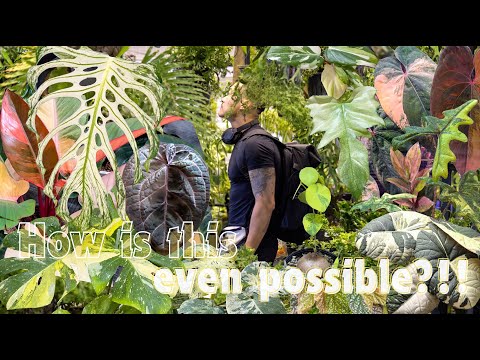 Only Plants – Sean William Salim