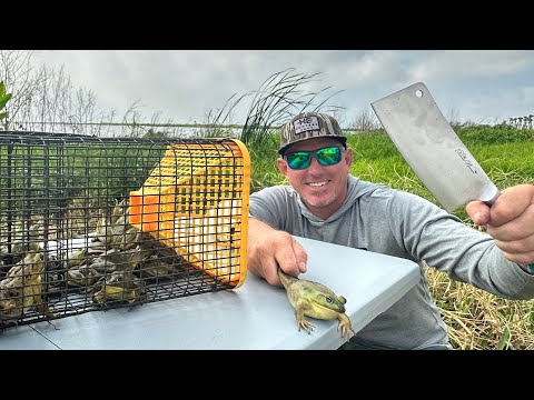 Fried Frog Toes (Catch & Cook Bull Frog)