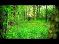 OMNIA - Fee Ra Huri 