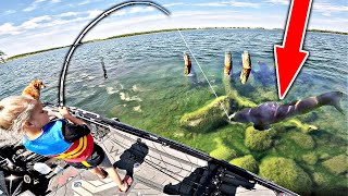 5 Year Old Catches his BIGGEST Fish Ever! (We ate it)