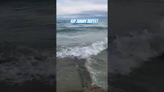 Jimmy Buffet passed RIP we loved you! #jimmybuffet #margaritaville #music #rip #love #missed #fyp