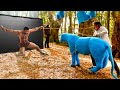 RRR Behind The Scenes Junior NTR Entry Shooting RRR Movie VFX Breakdown