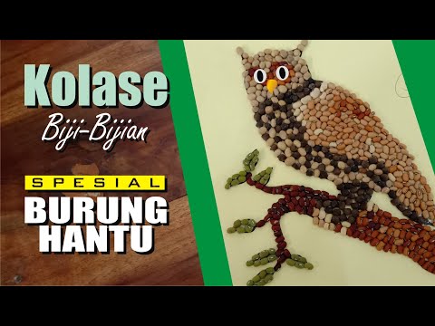 420 Gambar Kolase Burung Merak Yang Cantik Terbaik 420 Gambar Kolase Burung Merak Yang Cantik Terbaik