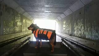 Congamond Lake Boat ride south pond - Middle pond - North pond.
