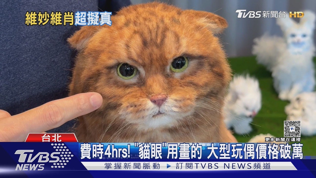 影音／超逼真「風狗」！全台唯一毛皮雕像師　訂單滿到2028年初