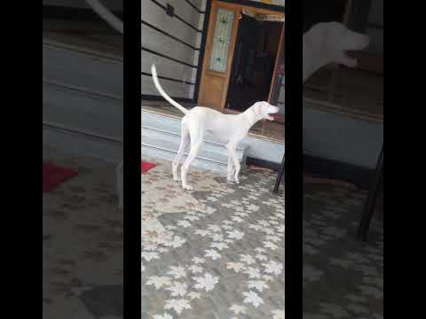 Thanks 🙏 you subscriber to clarify me