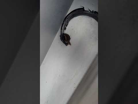Tonneau bed cover problems (Retrax)