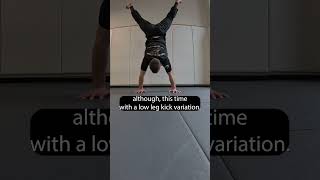 Budokon Mobility Pattern 03