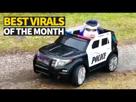 Top Viral Videos Of The Month - May 2019