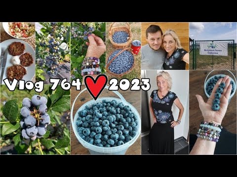 Vlog 764/23 - cuketové placky a borůvková farma