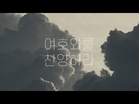 비디오 4