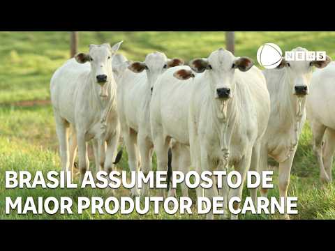 Brasil conquista o título de maior produtor de carne bovina do mundo