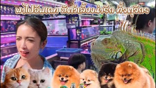 พาไปอัพเดท สัตว์เลี้ยงน่ารัก ที่จตุจักร EP.16