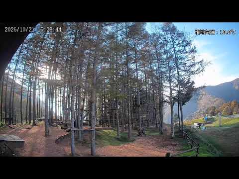 Live webcam view of Marunuma Kogen Tree Adventure