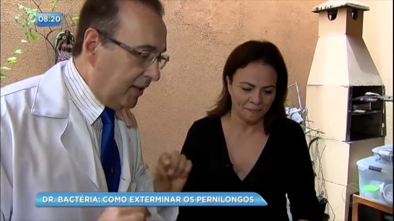 Dr. Bactéria mostra como exterminar pernilongos