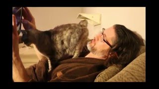 CAT FARTS IN GUY'S FACE
