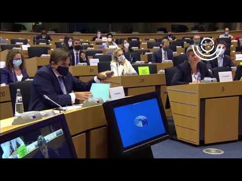 PIRKADAT Breuer Péterrel 2024.08.29.