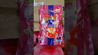 Download lagu Makanan ikan mas Hikari #hikari #ikanmas #makananikan #orenda #ikanmasbertopimerah #videopendek #pendek #viral mp3