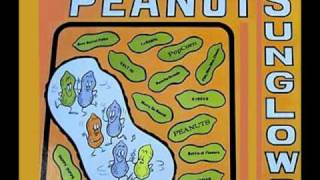 SUNGLOWS - Peanuts (La Cacahuata) Long Version!  (1965)