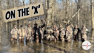 ON THE X || 14 LIMITS OF MALLARDS IN THE TIMBER