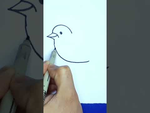comment dessiner un oiseau facile