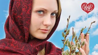 ВЕРБА ♥ КРАСИВЫЕ ПЕСНИ ДЛЯ ДУШИ ♥ РУССКАЯ МУЗЫКА ♥ WLV ♥ NEW SONGS and RUSSIAN MUSIC HITS