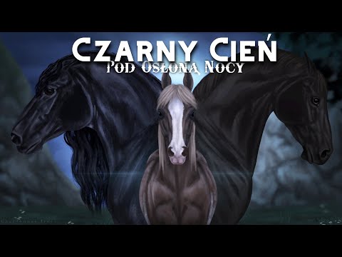 [SSO DUBB] Czarny Cień || Pod Osłoną Nocy || Film