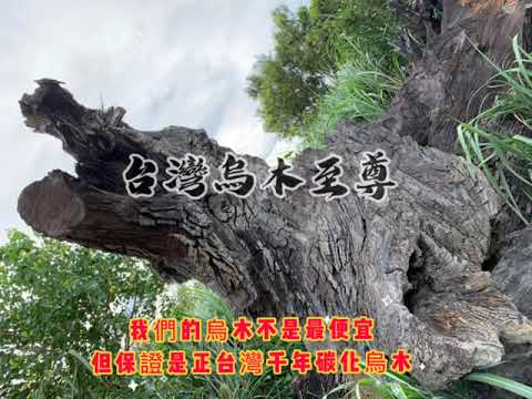 台灣烏木