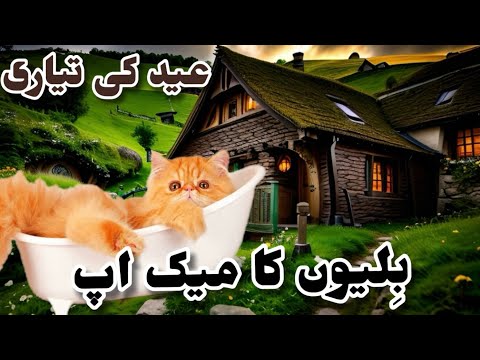 𝐂𝐀𝐓𝐒 🐈‍⬛ 𝐆𝐑𝐎𝐎𝐌𝐈𝐍𝐆 𝐃𝐀𝐘 || 𝐓𝐡𝐞𝐲 𝐀𝐫𝐞 𝐅𝐚𝐦𝐢𝐥𝐲 𝐓𝐨𝐨