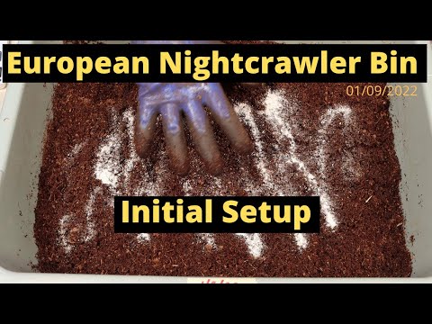 European Nightcrawlers (ENC) - Initial Bin Setup 01/09/2022
