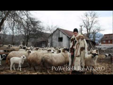 Urca Oile La Munte ...By Alb3rtO