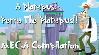 Doofenshmirtz “A Platypus? PERRY THE PLATYPUS?!�