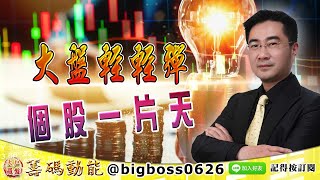 【大戶羅盤籌碼動能】 #謝宗霖 0209，大盤輕輕彈 個股一片天 (圖)