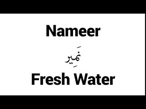How to Pronounce Nameer! - Middle Eastern Names