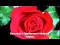 ФОНОГРАММА Велики и чудны дела Твои 