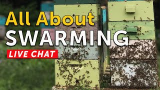LIVE BEEKEEPING CHAT - All About Swarming